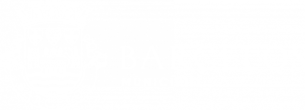 município de barcelos logo